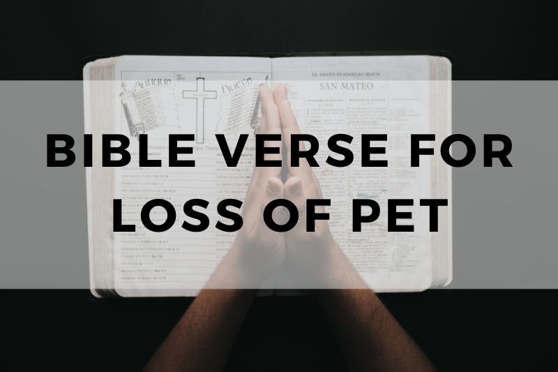 Bible Verse for Loss of Pet
