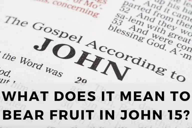 What Does It Mean to Bear Fruit in John 15