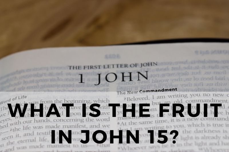 What is the Fruit in John 15