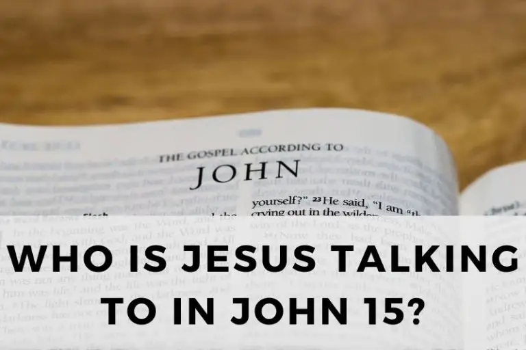 Who Is Jesus Talking to in John 15