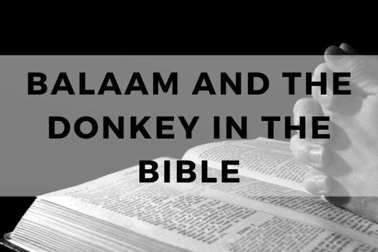 The Incredible Story of Balaam and the Donkey in the Bible - TRUST IN ...