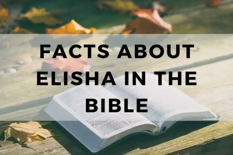 Facts About Elisha in the Bible