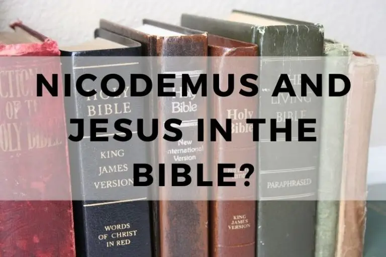 Nicodemus and Jesus in the Bible