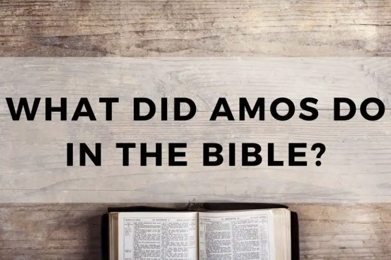 What Did Amos Do in the Bible