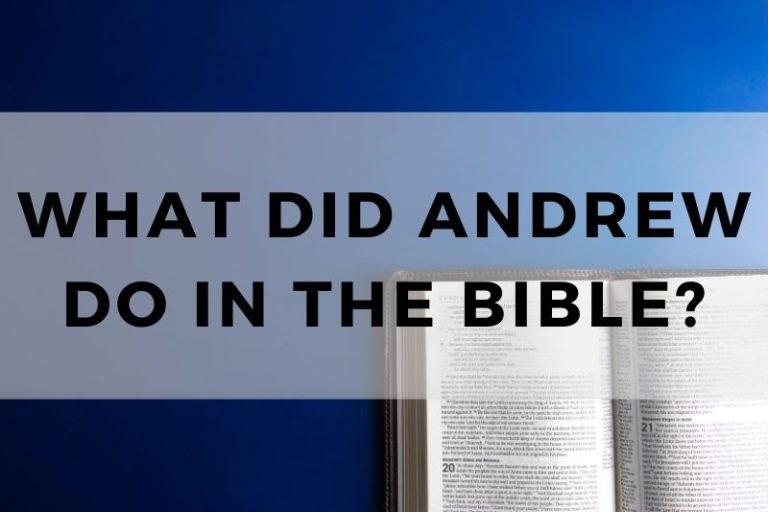 What Did Andrew Do in the Bible