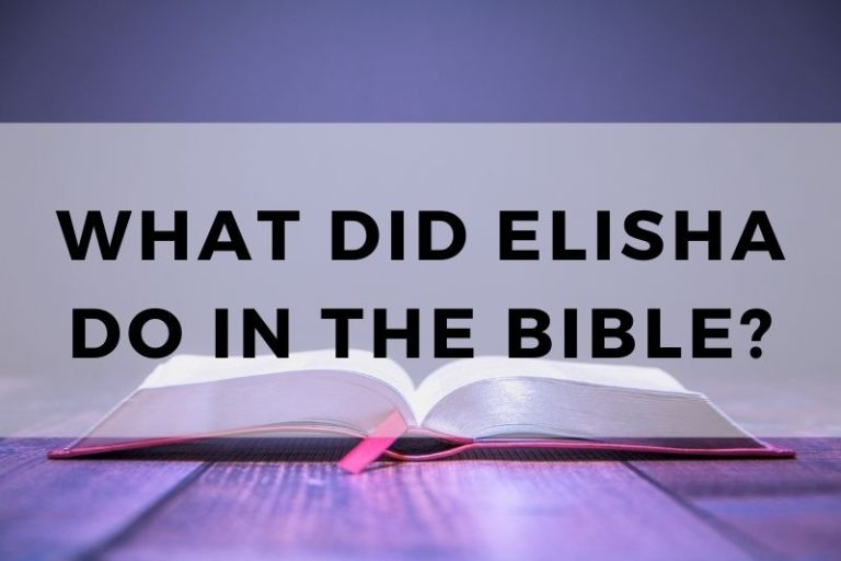 What Did Elisha Do in the Bible