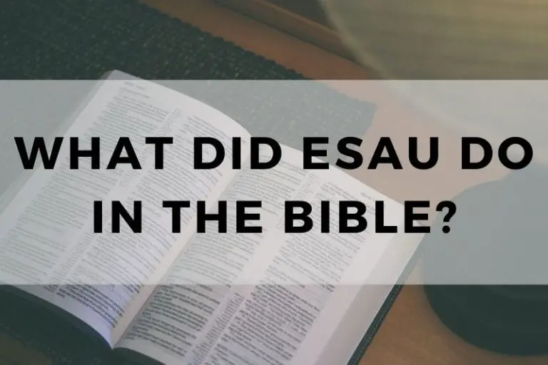 What Did Esau Do in the Bible