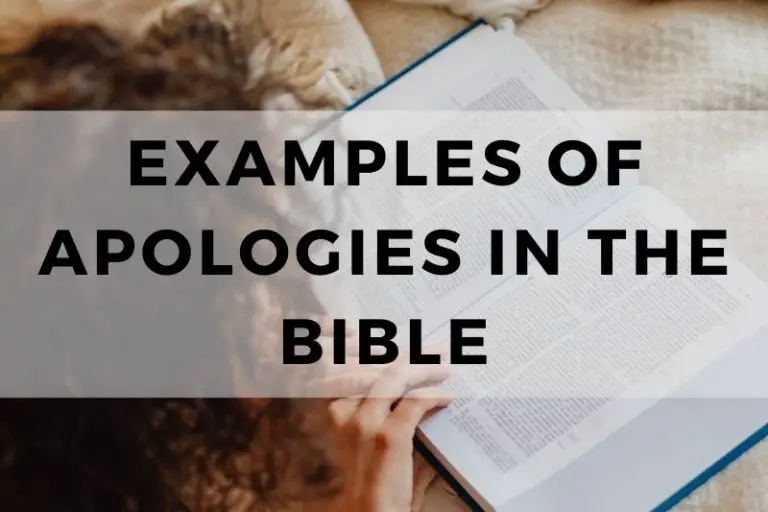 Examples of Apologies in the Bible