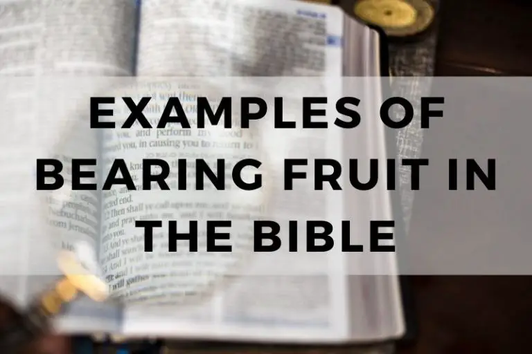 Examples of Bearing Fruit in the Bible