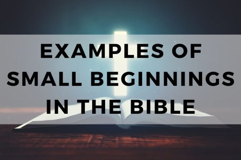 Examples of Small Beginnings in the Bible
