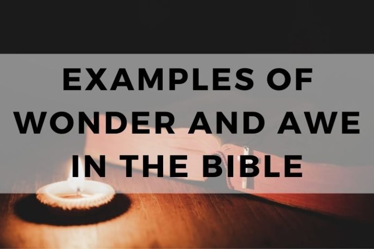 Examples of Wonder and Awe in the Bible